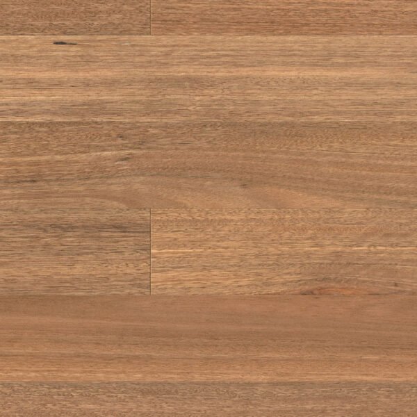 HM02 SPOTTED GUM 00