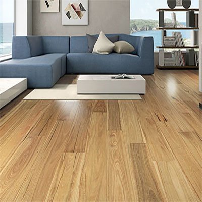 Spotted Gum 136 t3