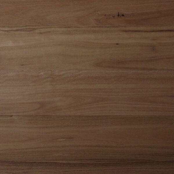 Blackbutt Engineered Flooring