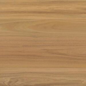 Atlantic Blackbutt