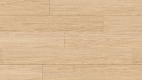 Blackbutt