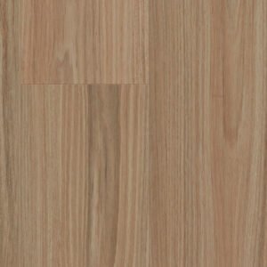 Hylia Blackbutt
