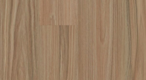 Hylia Blackbutt