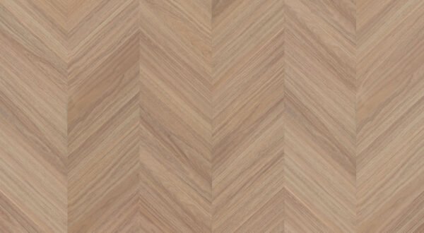 Loki Spotted Gum