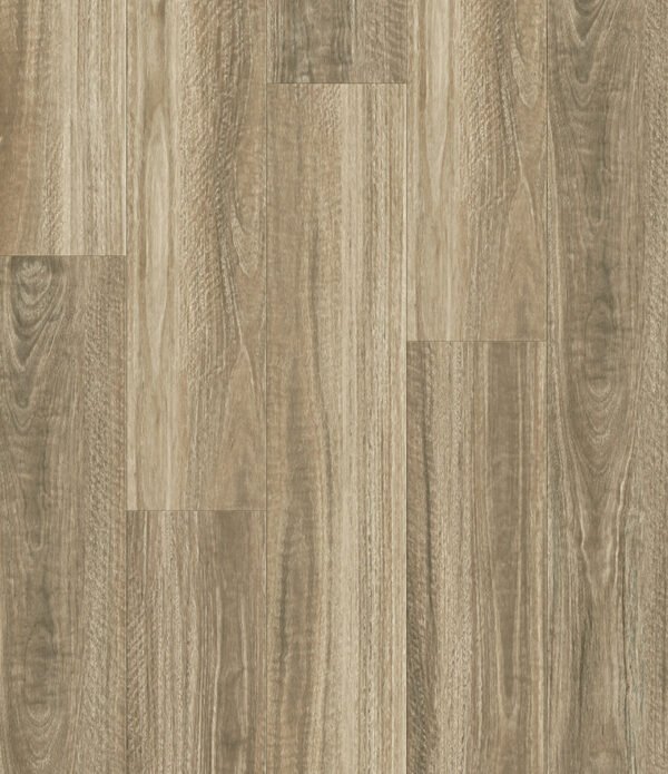 Seaside Spоttedgum