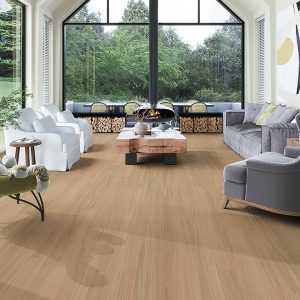 Hylia Blackbutt