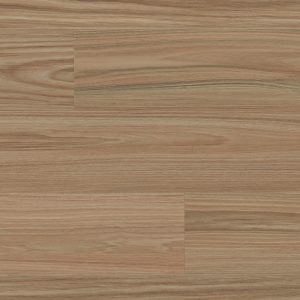 Sylvan Blackbutt