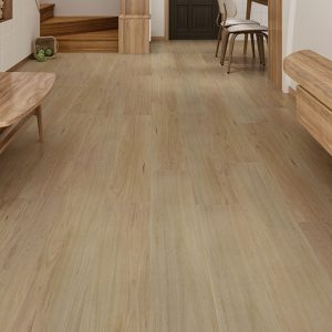 NSW Blackbutt