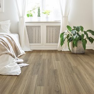 NSW Spotted Gum