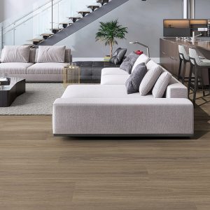 Titania Spotted Gum