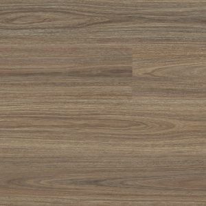 Oberon Spotted Gum