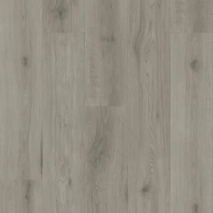 Arctic Grey