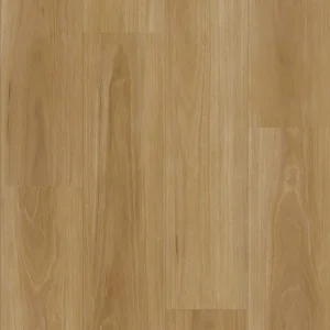 Classic Blackbutt