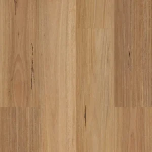 Native Blackbutt
