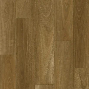 Native Spotted Gum