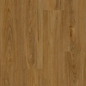 Qld Spotted Gum