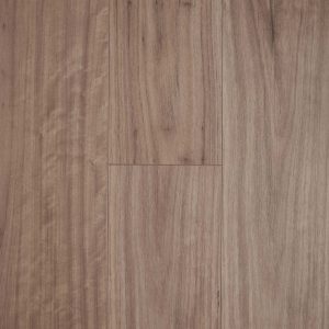 Blackbutt