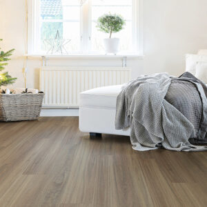 Coastal Spotted Gum