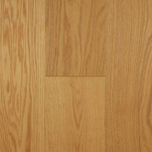 Forest Oak