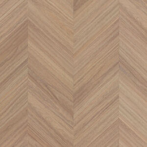 Norsewood Spotted gum