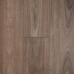 Spotted Gum