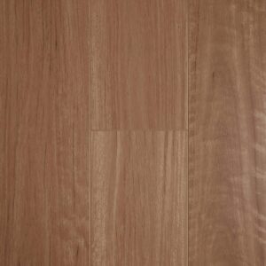 Aged Blackbutt
