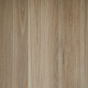 Aristotle Blackbutt