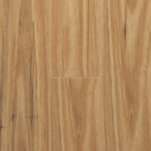 Blackbutt