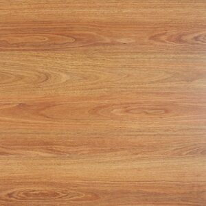 Bowen Spotted Gum