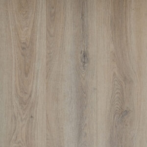 Bristle Oak