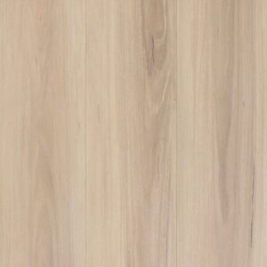 Broughton Blackbutt
