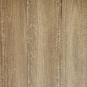 Brown Stringybark