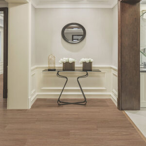 Golden Sapphire Spotted Gum