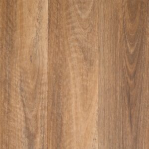 Koonya Spotted Gum