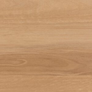 Myrtle Blackbutt