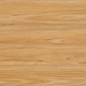 NSW Blackbutt