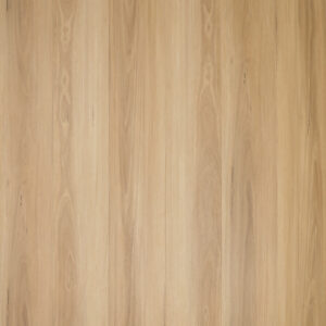 New England Blackbutt