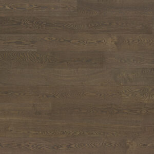 Twilight Oak