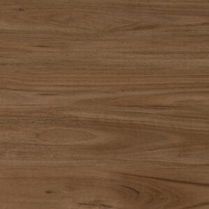 QLD Blackbutt