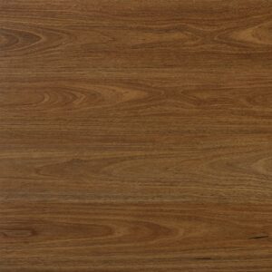 QLD Spotted Gum