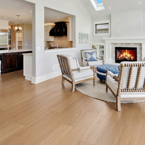 Southern Spotted Gum