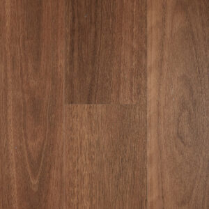 Spotted Gum