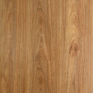 Spotted Gum Floor