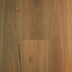 Spotted Gum Laminate Flooring