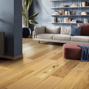 Timber Blackbutt