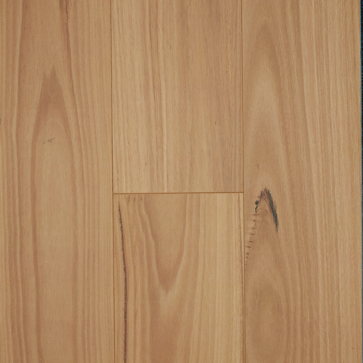 Blackbutt Laminate Flooring 1 Blackbutt Laminate Flooring