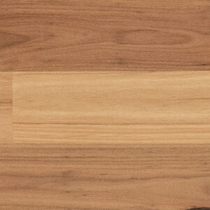 Timber Blackbuttt Floor