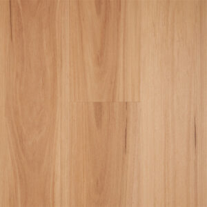 Northern Blackbutt