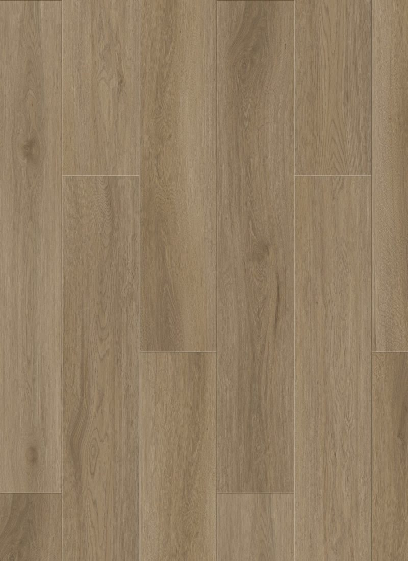 Pale Oak